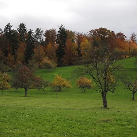 Schwarzwalddomizil Am Glottertal Appartamento